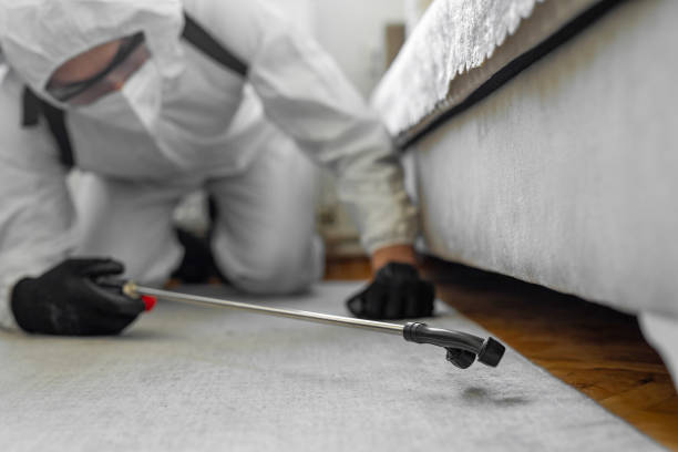 Professional Termite Control technician working in Temescal Valley, CA